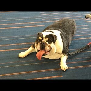 Meet your Posher, Patrick